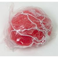 池田工業社 キラキラフレンドボール6号 赤(空気抜き) 300340 1セット(10個)