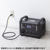サンワサプライ ポータブル電源 （1152Wh） BTL-RDC30 1台（直送品）