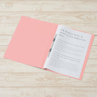 プラス プラスフラットファイル樹脂製金具B4ーSPK 79088 1冊