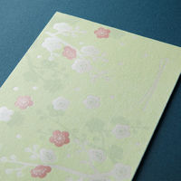 デザインフィル 越前和紙 金封 のし袋 パール箔押し 3枚入 梅柄 25588006 1袋