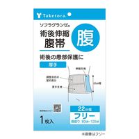 竹虎 ソフラグランゼ 22cm幅 S 040612 1枚 67-2386-77（直送品）