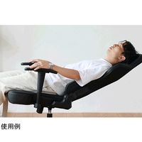 スリーアール ゲーミングチェア AGRelux α 3R-AGR02 1個 67-2515-71（直送品）