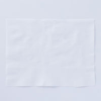 玉川衛材 フェミルテ ふきとりシート 1個（15枚入）