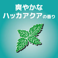 虫コナーズ アミ戸に貼るタイプ 網戸用虫除け 200日 2個入 ハッカアクア 1個 KINCHO キンチョー