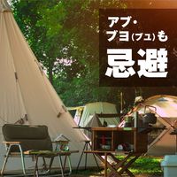 コールマン アース極太虫よけ線香 10巻箱入 吊り下げ式線香皿付 虫除け 忌避 1個 アース製薬