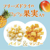 meito とけだす果実の紅茶 パイン＆マンゴー 1セット（15袋：5袋入×3個）