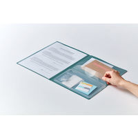 キングジム エミリー ハードホルダー ３ポケット Ａ４タテ ベージュ ＥＹ７５９ヘ- 2枚