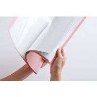 キングジム エミリー クリアーファイル Ａ４タテ 白 ２０ポケット ＥＹ１８３シロ 2冊