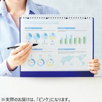 リヒトラブ CUBE FIZZ クリヤーブック ポケット交換タイプ A4タテ 30穴 15ポケット ピンク N7015-12 2冊