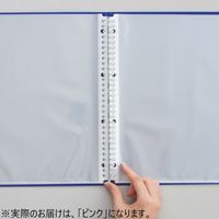 リヒトラブ CUBE FIZZ クリヤーブック ポケット交換タイプ A4タテ 30穴 15ポケット ピンク N7015-12