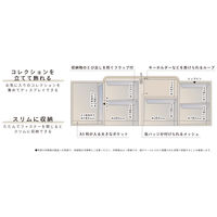 myfa（ミファ）コレクションスタンド チャコールブラック 1セット（2個） LIHIT LAB.（リヒトラブ）