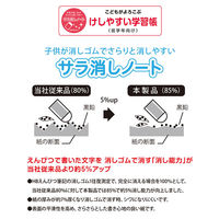 けしやすい学習帳 さんすう セミB5 14マス NB51-S14M 2冊 ナカバヤシ