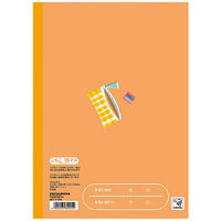 かるい学習帳 こくご セミB5 15マス リーダー入り NB51-C15ML 2冊 ナカバヤシ