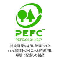 ノリスカラー 色鉛筆 紙ケース入り 12色セット C12PB ステッドラー