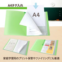 プラス 年組氏名クリアーファイル 20ポケット A4タテ グリーン 84865 1冊