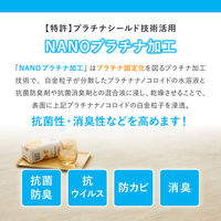 【玄関渡し】 萩原 お医者さんがすすめる　AskDoctors　抗菌プラチナ加工のカーペット アイボリー 88×176cm（直送品）