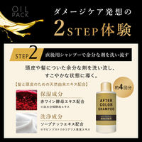 ビゲン オイルパックカラー 2NB より明るいナチュラルブラウン 白髪染め クリームタイプ ホーユー