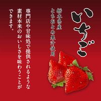 かき氷 シロップ 夏祭り 井村屋　こだわりの氷みつ　いちご　150g 1セット(1個×4) 井村屋