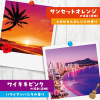 入浴剤 バスロマン 旅するハワイ バスソルト 4種アソート 個包装 1セット（12包入×4箱） アース製薬