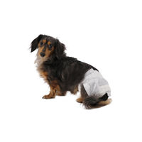 ペット用おむつ 犬・猫 S 57枚入 アイリスオーヤマ