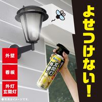 虫こないアース 玄関灯・外壁に 長日数持続タイプ 450mL 害虫駆除 スプレー 1本 アース製薬
