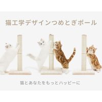 バリバリつめとぎポール 麻 交換用 2本セット 猫壱 爪とぎ