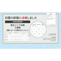 Netforce ロビーベンチ 抗菌 背付き 幅1200 ブラウン 待合室 椅子 長椅子LBSK-120-AW-BR 1台（直送品）