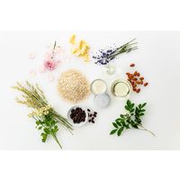 STEAM CREAM（スチームクリーム）  サウンディング・ジョイ 75g ギフト　保湿