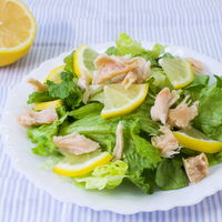 丸善 PROFIT SASAMI ゆず塩レモン 50g 3個