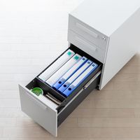 サンワサプライ キャビネット 3段 幅300×奥行534×高さ600mm ホワイト SNW-107W 1台（直送品）