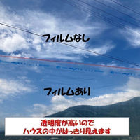 住化積水フィルム ベジタロンNEXT 0.13mmX850cmX10m NEXT 0.13X850X10 1枚（直送品）
