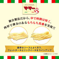 マ・マー 絶品生パスタ 生フェットチーネ 1人前・150g 1個 日清製粉ウェルナ