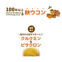 ウコンの力 顆粒（10回分） フルーツ風味 1セット（1個（10本入）×2） スティックタイプ ハウスウェルネスフーズ