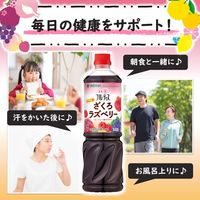 業務用フルーティス りんご酢ざくろラズベリー（6倍濃縮タイプ）1000ml 1本 ミツカン 飲む酢 お酢