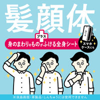 メンズビオレ ONE シート 清潔感のあるフルーティーサボンの香り 3個 花王