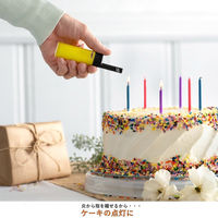 BICジャパン 電子式ライター イージーリーチ点火ライター 20本入り J38L-EZR 1セット(20本)（直送品）