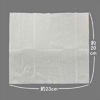 ボディシート Clesh MEN 超クール シトラスミントの香り 40枚入　　汗拭きシート