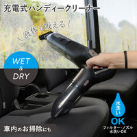 オーム電機 WET&DRYクリーナーHC02R 08-3289 1個