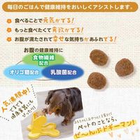 まいにちでるでるごはん お腹の健康ケア 食物繊維プラス 国産 200g 3袋 ドギーマン ドッグフード