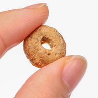 無添加良品 歯みがきおさかなクリスピー 国産（25g×3袋入）3袋 ドギーマン 猫用 おやつ