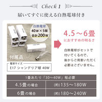 萩原 ガラスシャンデリア NL-8629WH 1台（直送品）