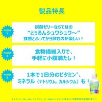 大塚食品 マッチゼリー 260g ペットボトル 1箱（24本入）