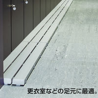 テラモト 抗菌安全スノコ(組立品)灰 300×900 MR9100506 1枚