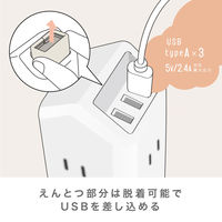 ソニック えんとつ屋根のコンセントハウス 2m AC×6、USB-A×3 ブルー ULH-7807-B 1個