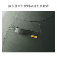 キングジム 台座付きバランスボール AHC030-BE 1個