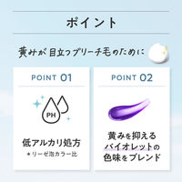 liese（リーゼ）ブリーチオンカラー スイートピーグレージュ 花王