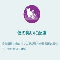 ピュリナワン 猫 総合栄養食 室内飼い猫用 1歳以上 50g 12袋 キャットフード パウチ ネスレ日本