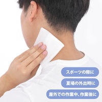 激爽快さらさらボディシート 40枚 昭和紙工 汗拭きシート ボディシート