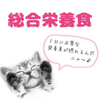 ミャウミャウ ジューシー 成猫用 シーフードブレンド ゼリータイプ 60g 1セット（1袋×12）アイシア キャットフード