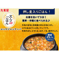 丸美屋 スープdeごはん ユッケジャンクッパ（押し麦ごはん付き） 1セット（2個）